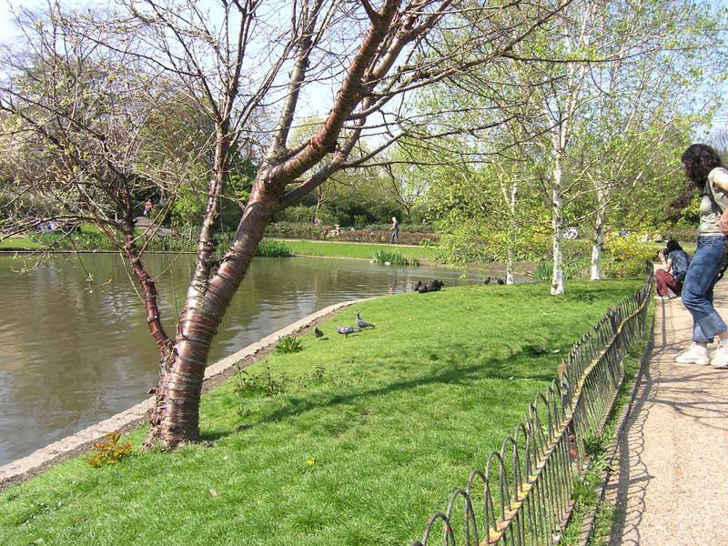 London, April 13-15th 2007: Meeting Sun Lim. Regent's Park: a pond.