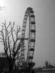 London, April 13-15th 2007: Meeting Sun Lim. The London Eye: Impressive.